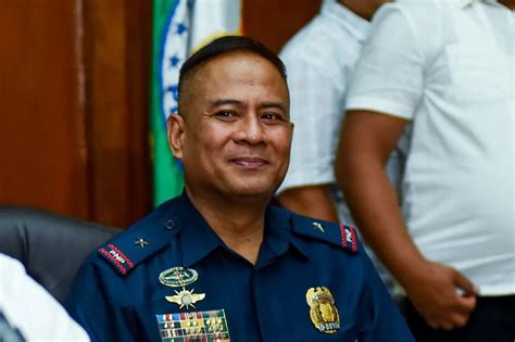 general danao demoted|Vicente Danao is new acting PNP chief .